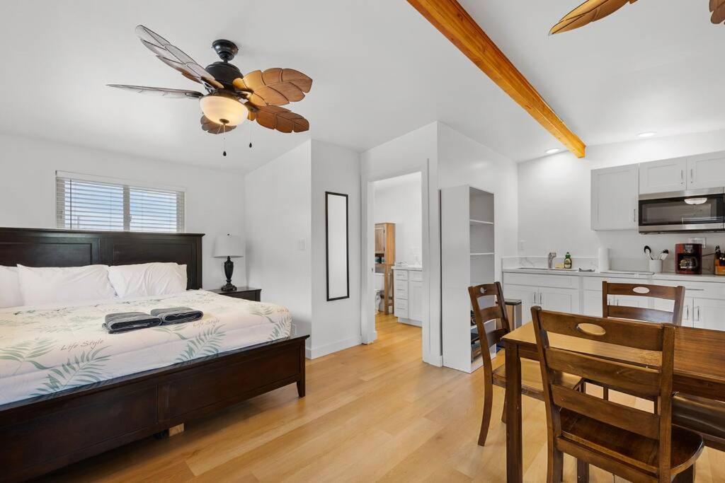 Apartment Ocean Front Extra Large Studio Sleeps 7 W Sofa Bed, Contact Us For Price Drop