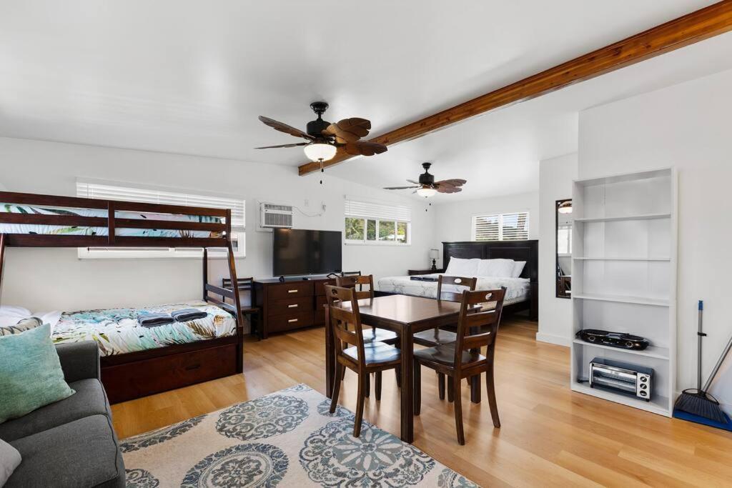 Apartment Ocean Front Extra Large Studio Sleeps 7 W Sofa Bed, Contact Us For Price Drop *