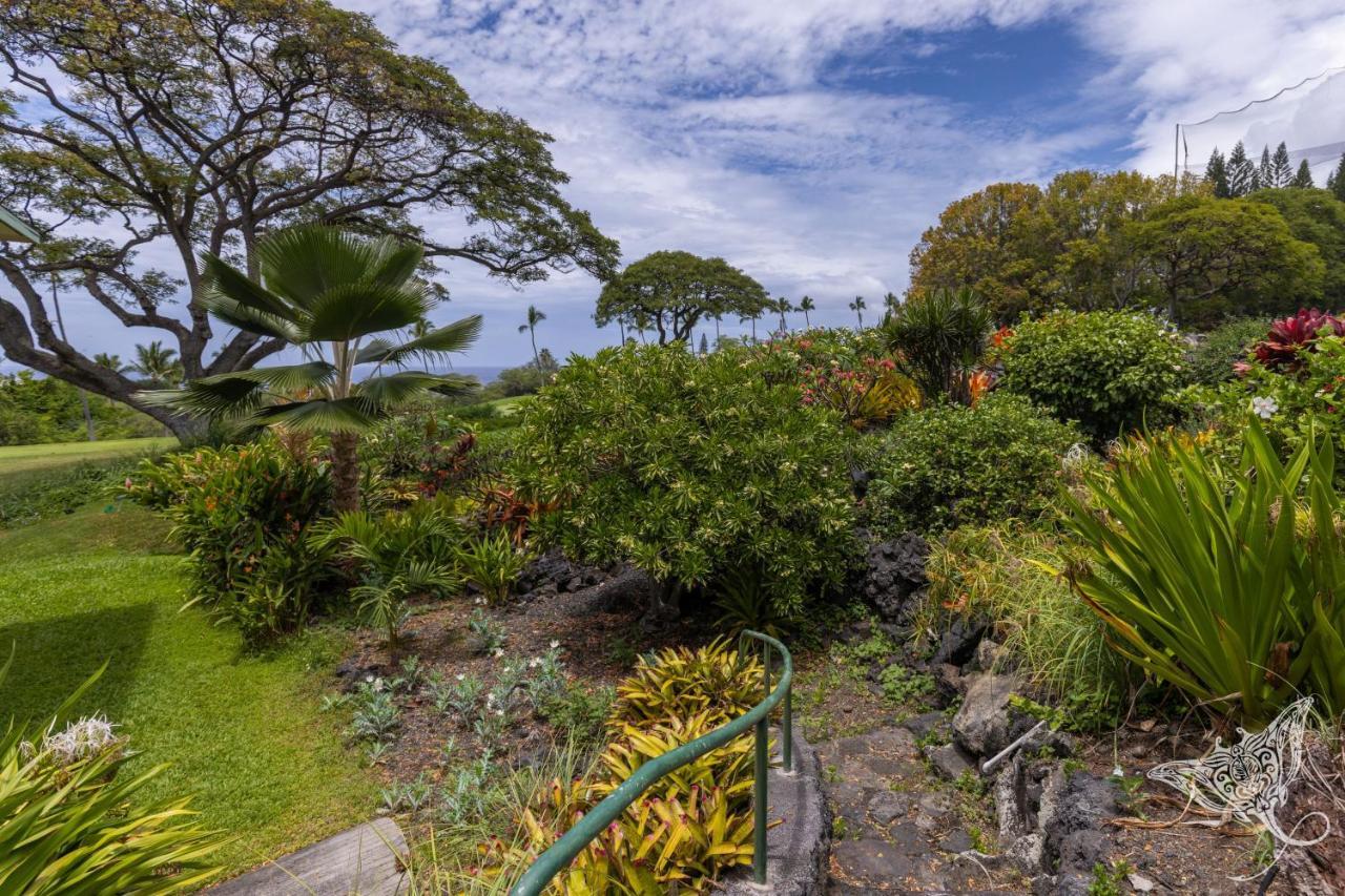 Hale Hahalua - Hale Hahalua - Serenity And Ocean Views In Kona - Now With Upgraded Ac In Bedroom Apartment