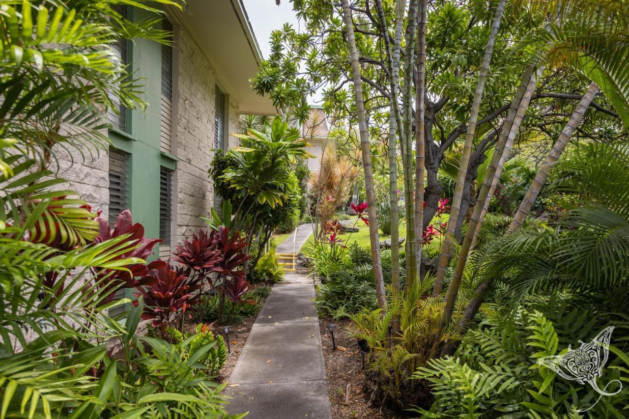 Hale Hahalua - Hale Hahalua - Serenity And Ocean Views In Kona - Now With Upgraded Ac In Bedroom