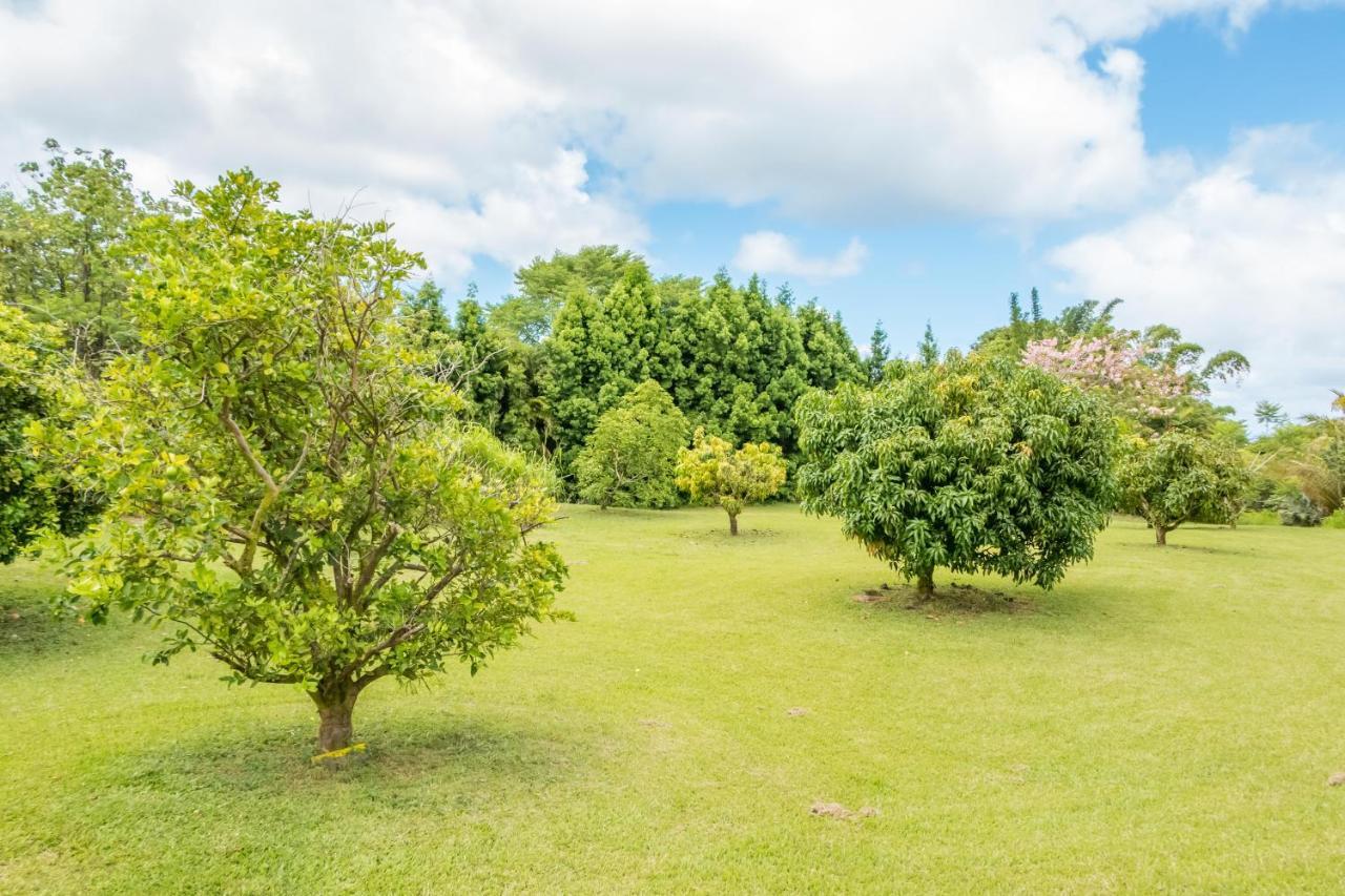 Off-grid Getaway With Ocean Views In Paradise Homestay *