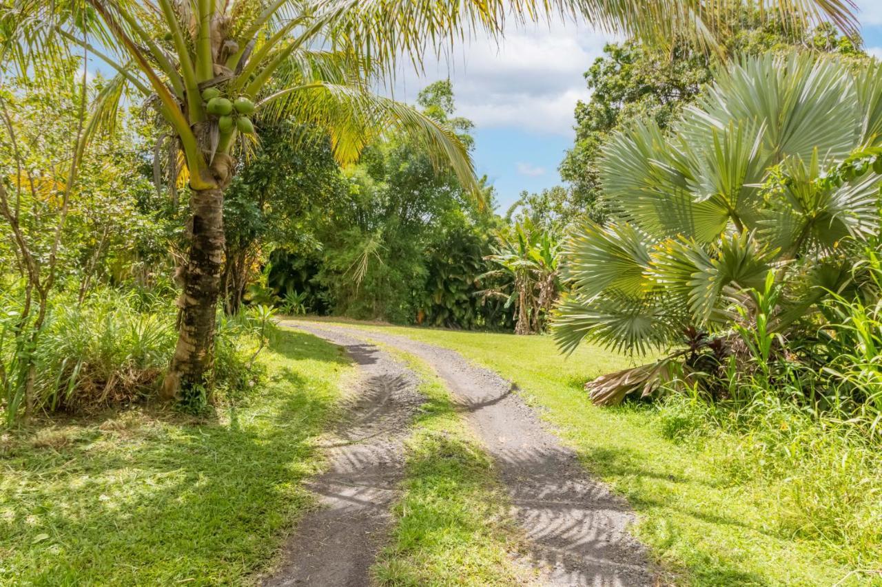 Homestay Off-grid Getaway With Ocean Views In Paradise