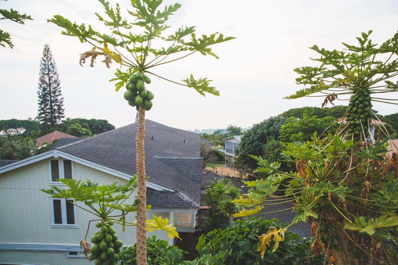Kona Hawaii A Unique Hawaii Experience Guest house Keauhou
