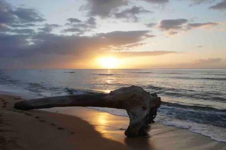 Islander Ocean # 166 Apartment *