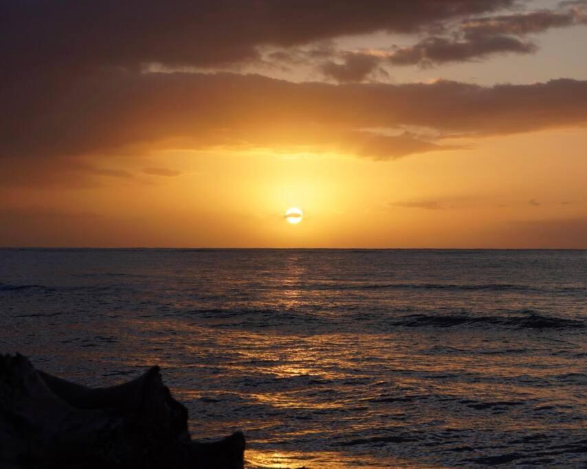 Apartment Islander Oceanfront # 149 *
