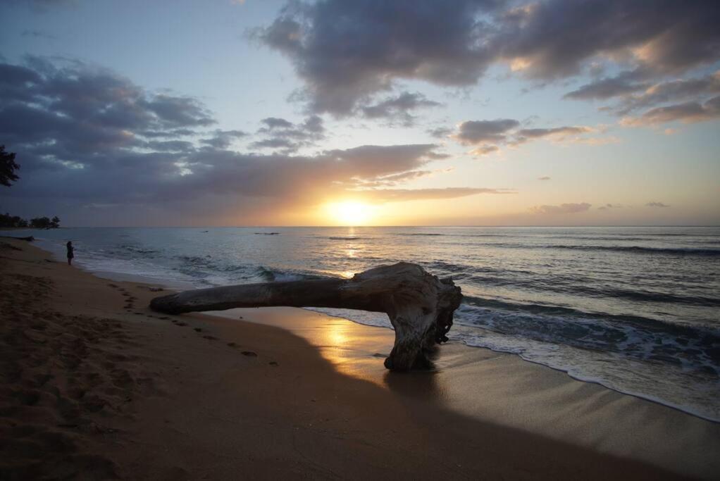 Islander Oceanfront # 149 *