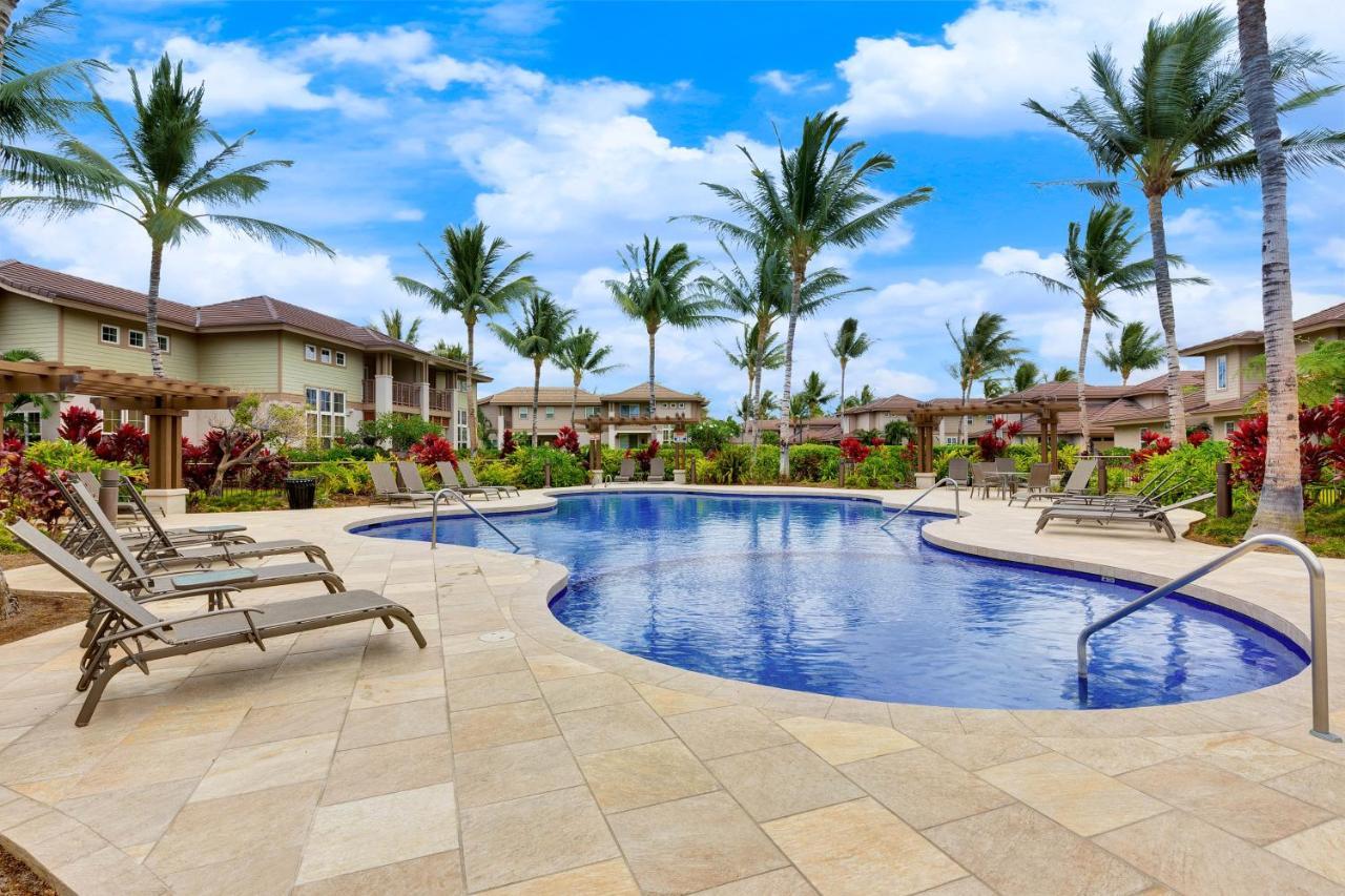 Colony #1104 Waikoloa