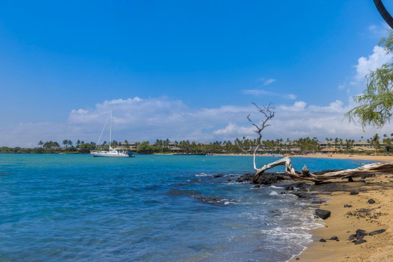 Colony #1104 Waikoloa