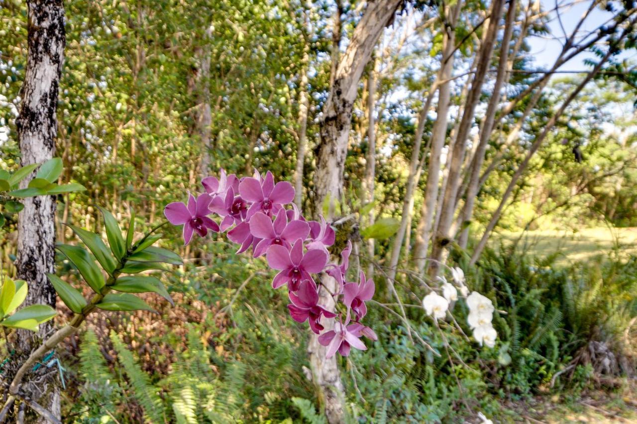 Holiday home Paradise Park Vacation About 4 Mi To Shoreline! Keaau