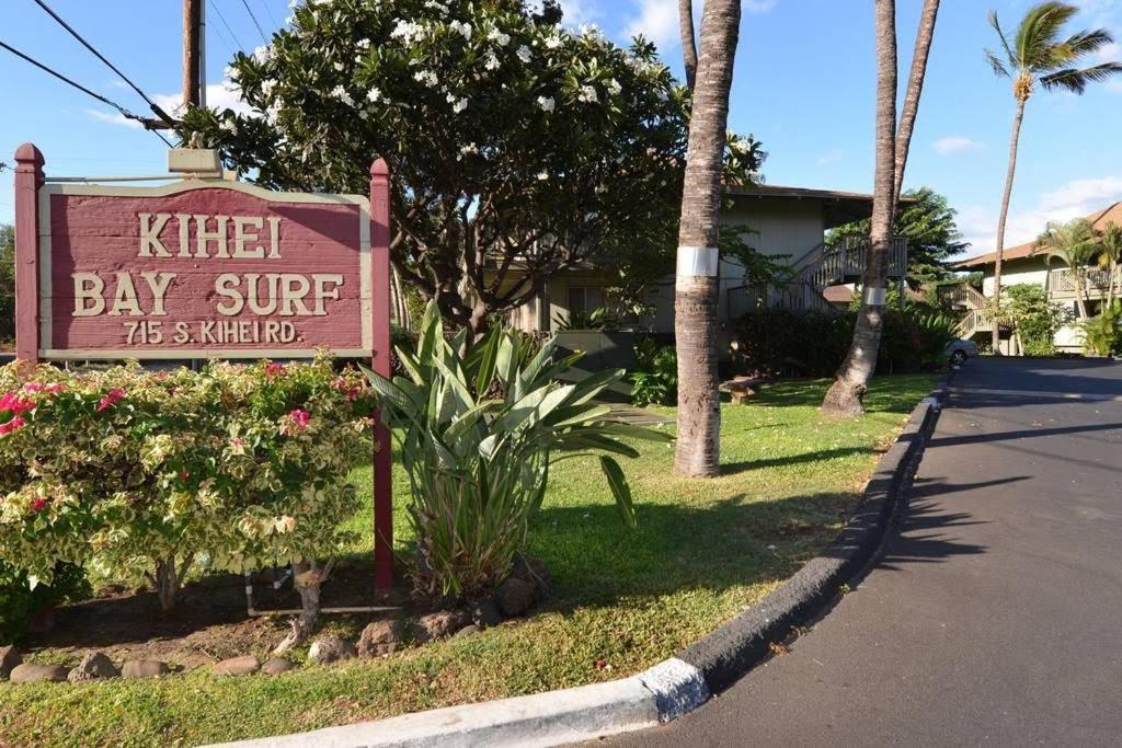Maui Diver's Dream At Bay Surf Kihei