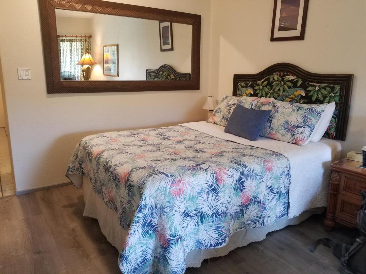 Maui Diver's Dream At Bay Surf Apartment Kihei