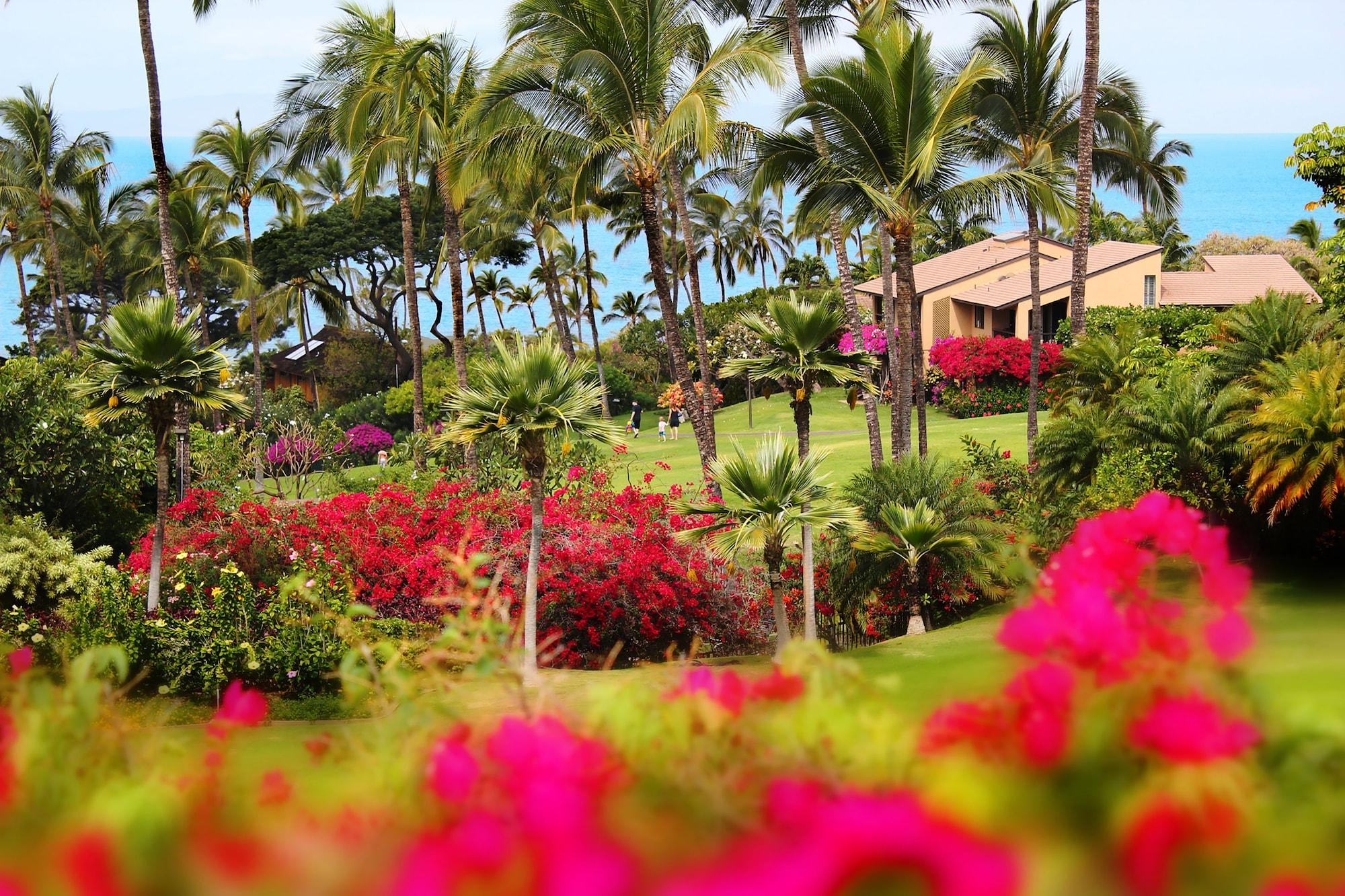 Resort Wailea Ekahi Village - Coraltree Collection