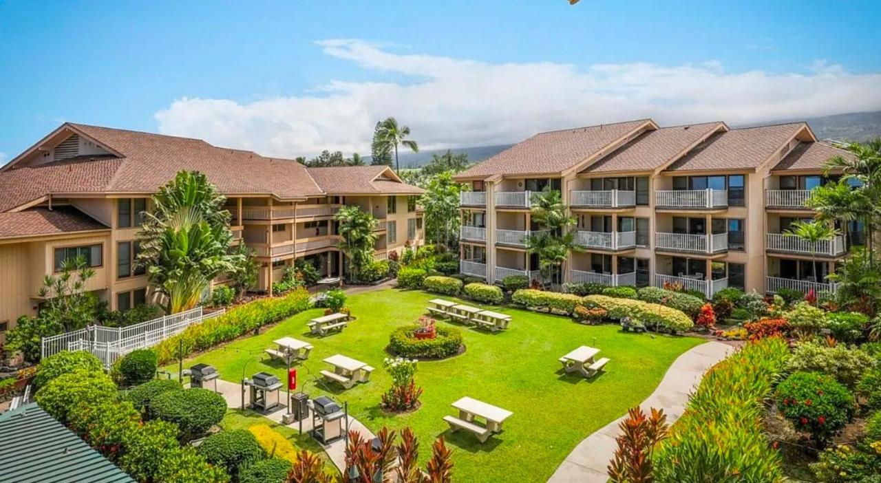 Sea Village With Unobstructed Ocean Views And Oceanside Pool *