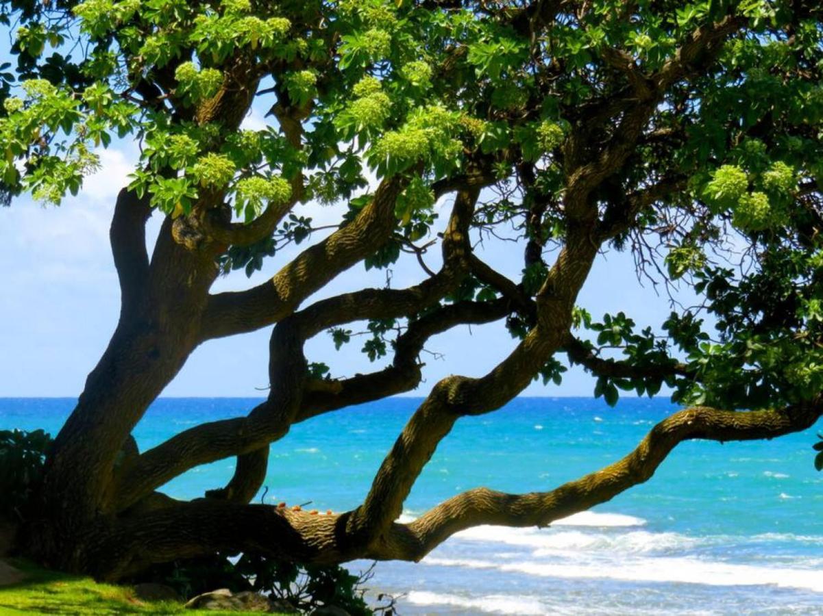 Holiday home Relaxing Turtle Bay Townhome Near The *