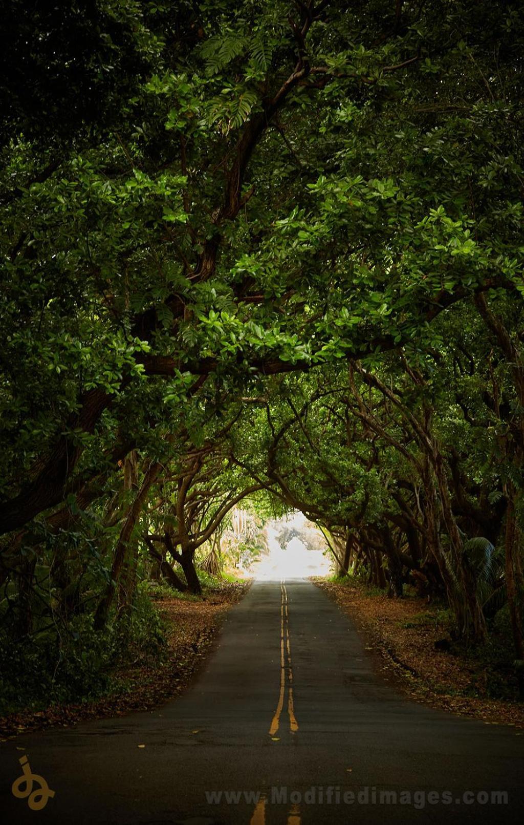 Open Gate Hawaii * Pahoa
