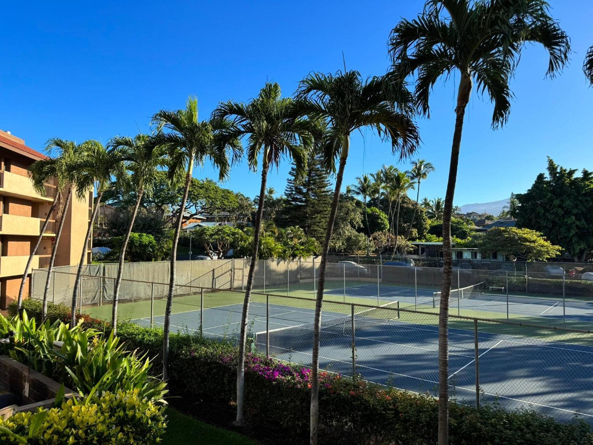 Maui Vista 1417