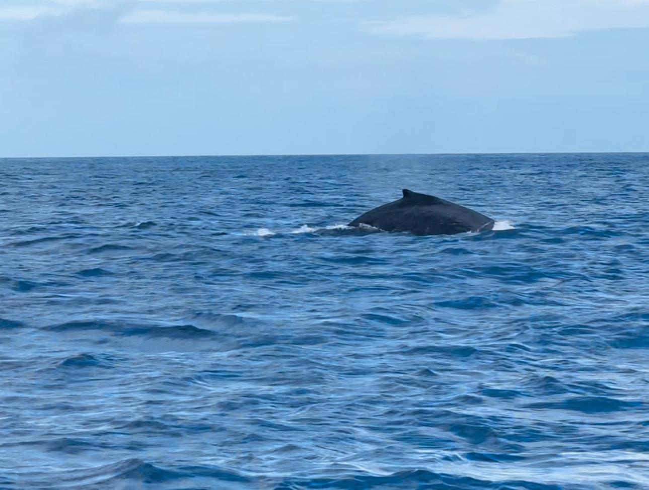 Holiday home Oahu's Kept Secret *