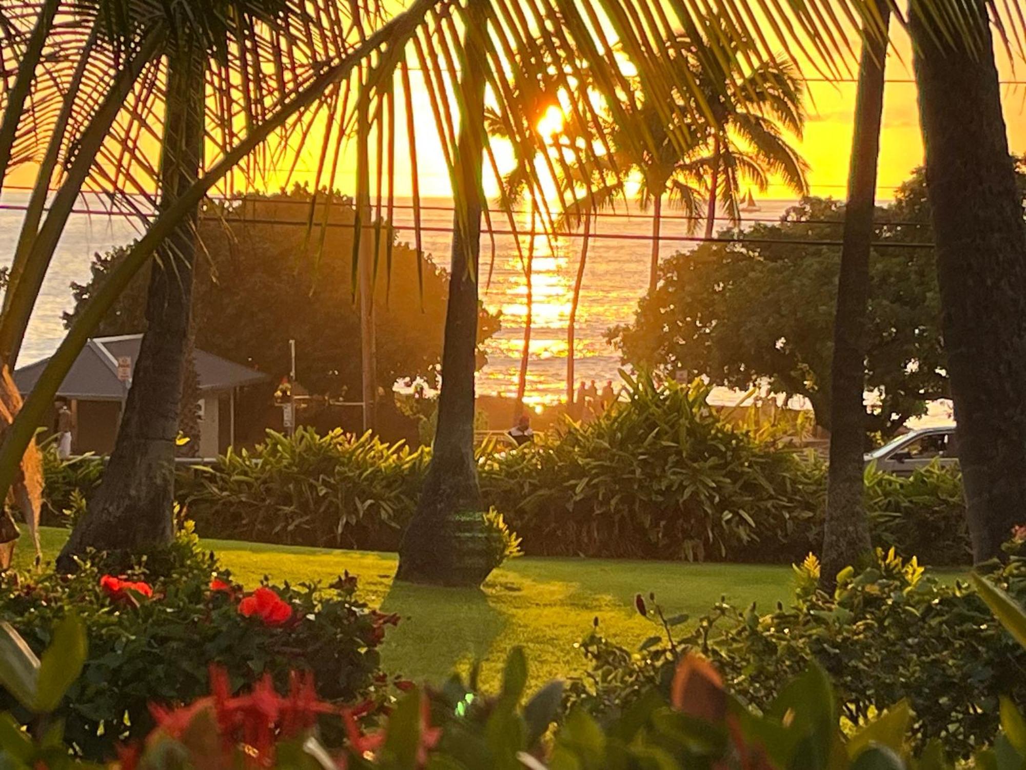 Apartment Family Getaway - Lava Room At Magic Sands Beach Kailua-Kona