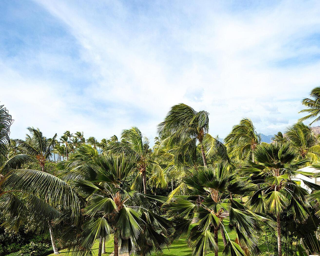 Four Seasons Oahu At Ko Olina Resort 5*