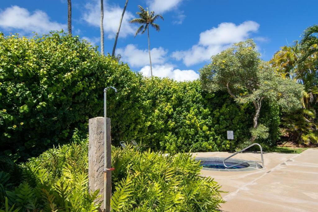 Lovely 1 Bedroom With Kitchen, Free Wifi & Parking * Kapa'a