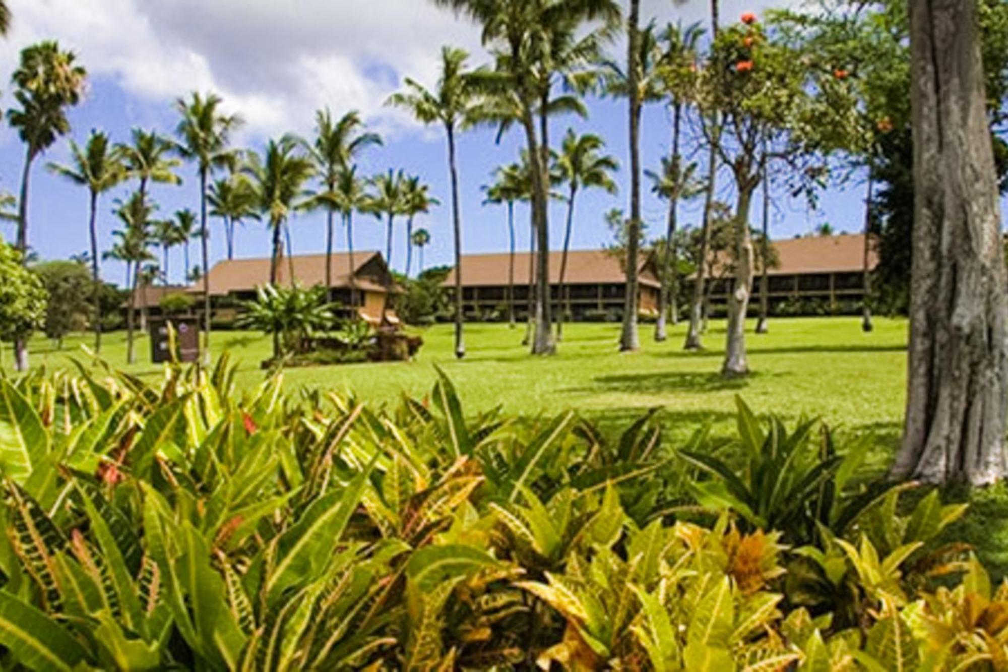 Kepuhi Maunaloa