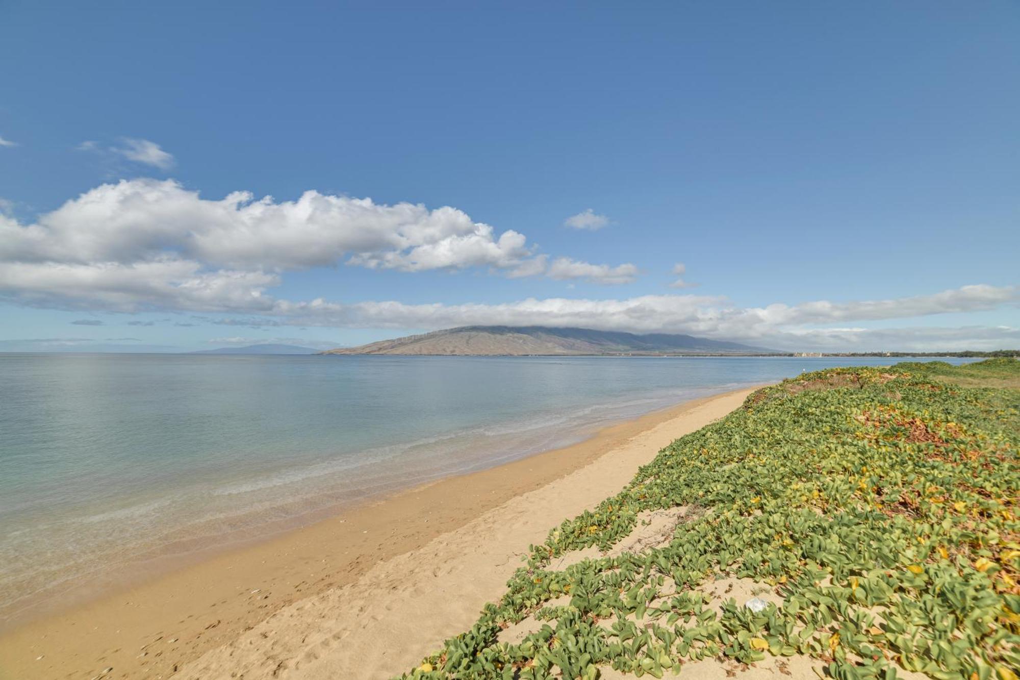 Haven At Village By The Sea, Steps To Beach! Kihei