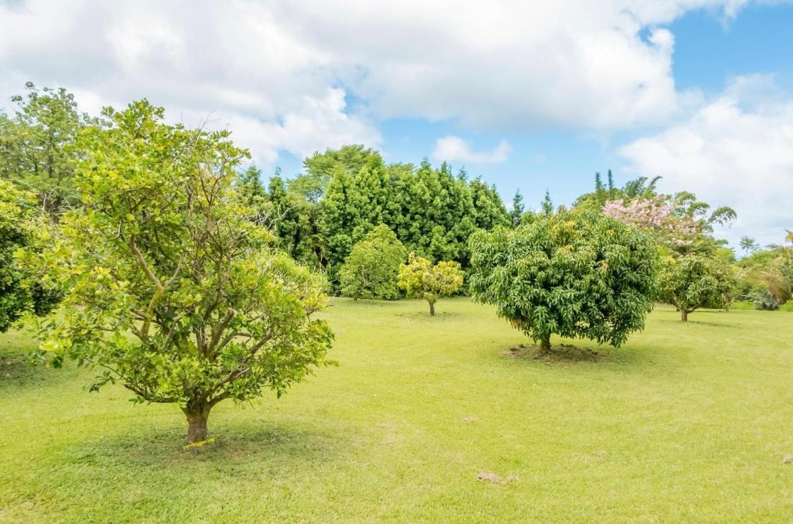 Off-grid Getaway With Ocean Views In Paradise Homestay *