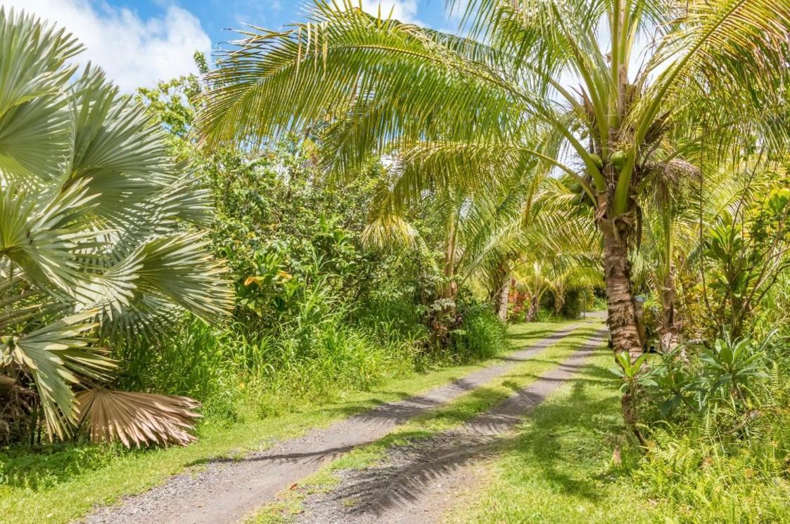 Homestay Off-grid Getaway With Ocean Views In Paradise Pahoa