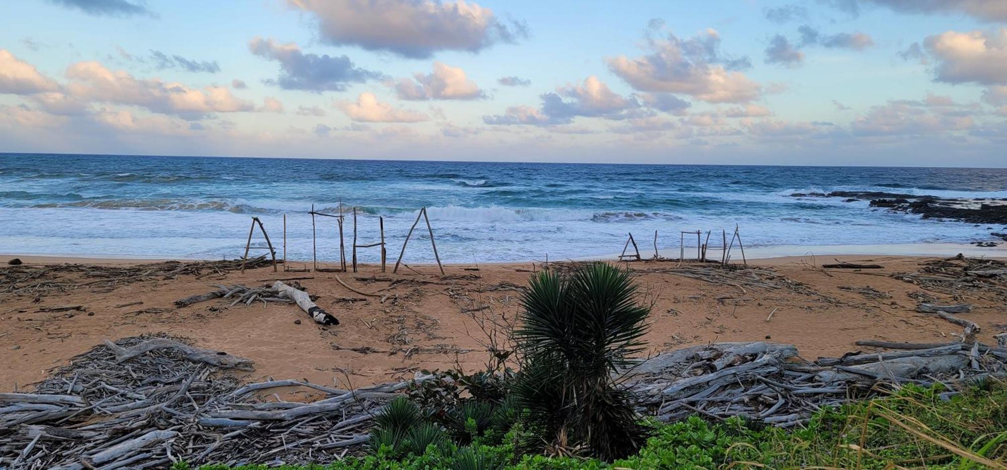 Oceanfront Kauai - Harmony Tvnc 4247 Holiday home