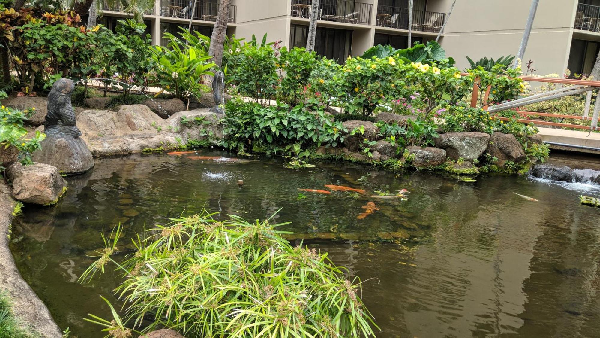 Maui Westside Presents: Kaanapali Shores 733 Stunning Ocean Views New Listing Apartment Lahaina