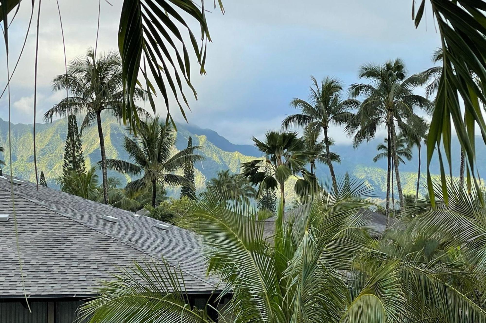View House Tower! Holiday home Princeville