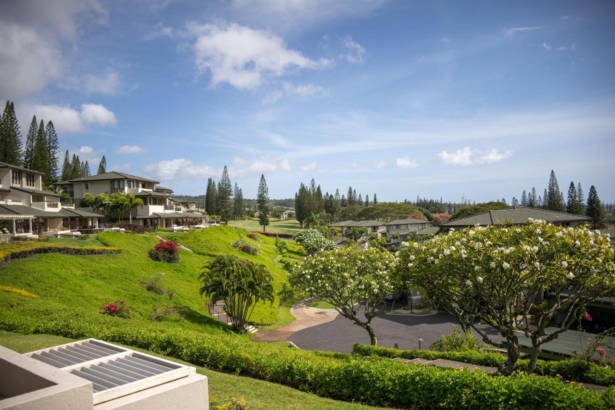Kapalua Maui