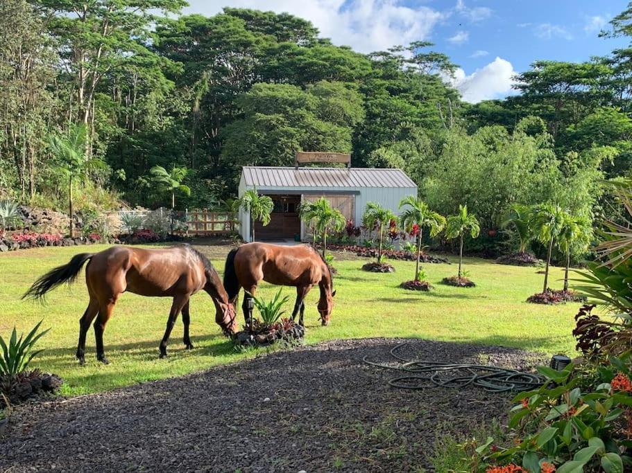 Mala O Kilauea Nature Retreat *