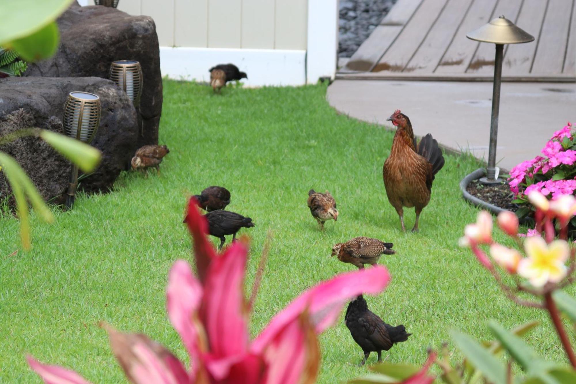 Holiday home New 4 Bedroom With Ocean And Gorgeous Mountain Views In The Gated Community Of Mauna Olu Waianae