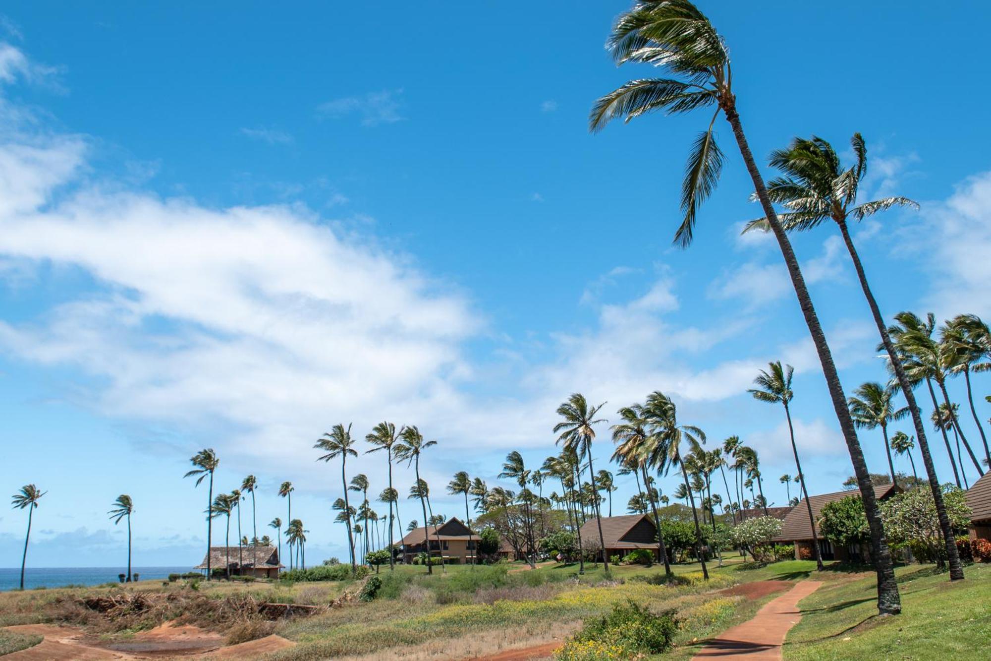 Kepuhi Hotel Maunaloa