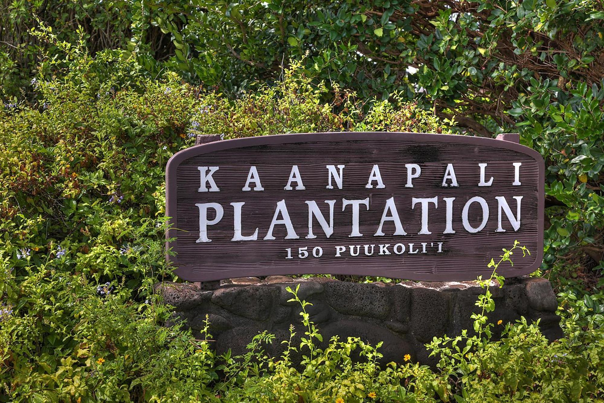 Apartment Plantation