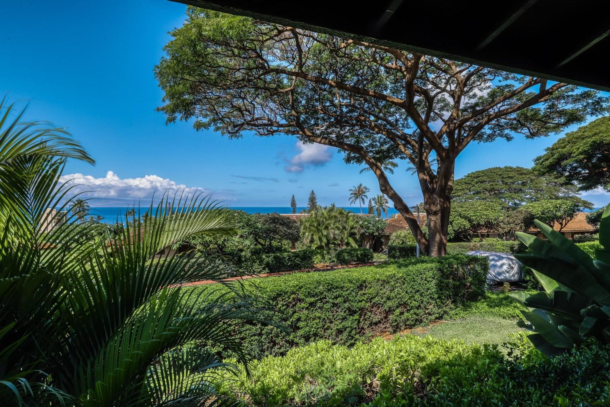 Apartment Plantation Kaanapali