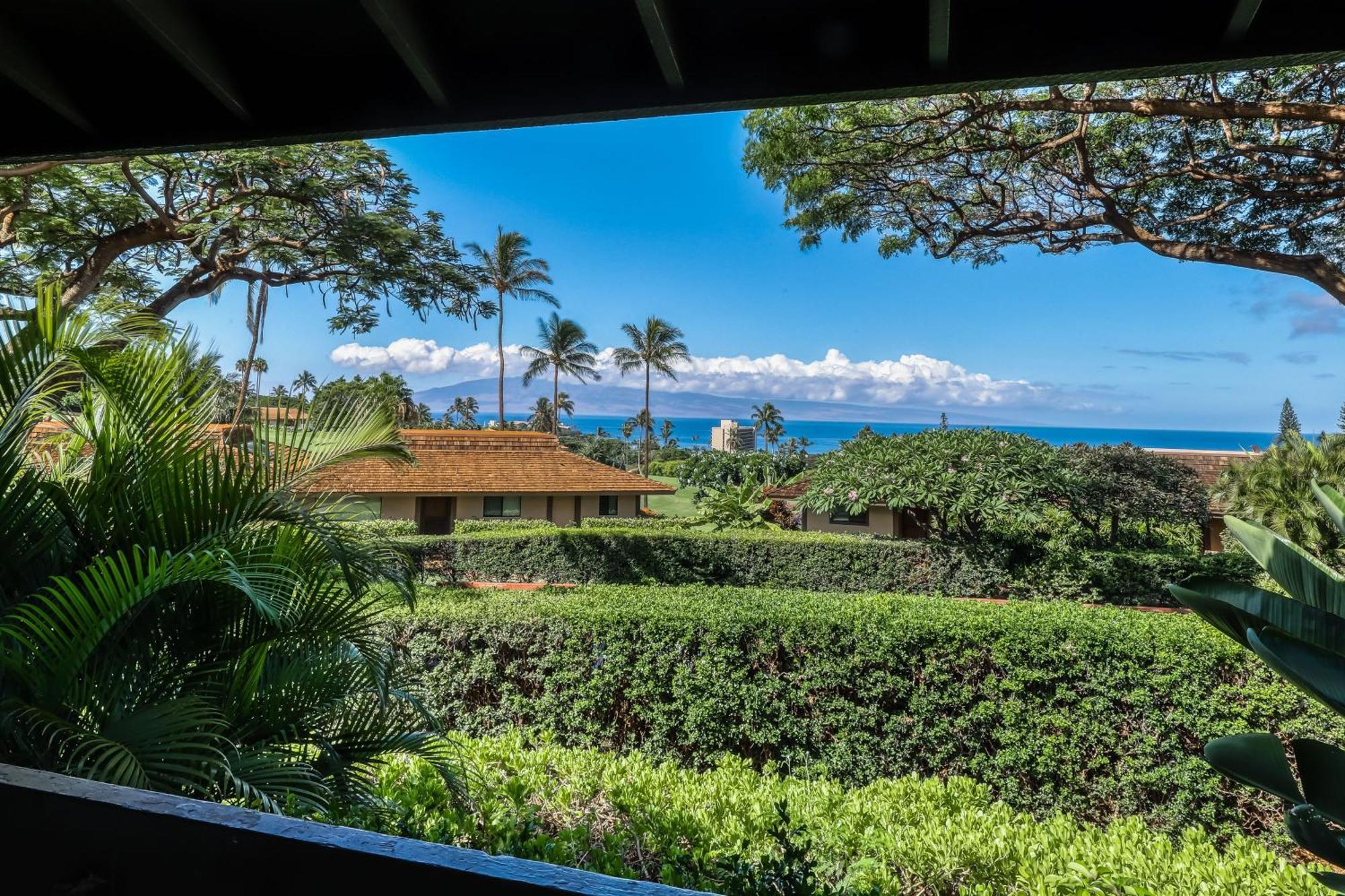 Apartment Plantation Kaanapali