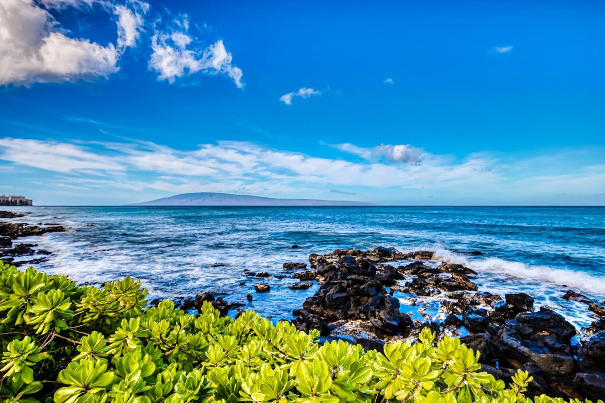 Apartment Mahina Surf *