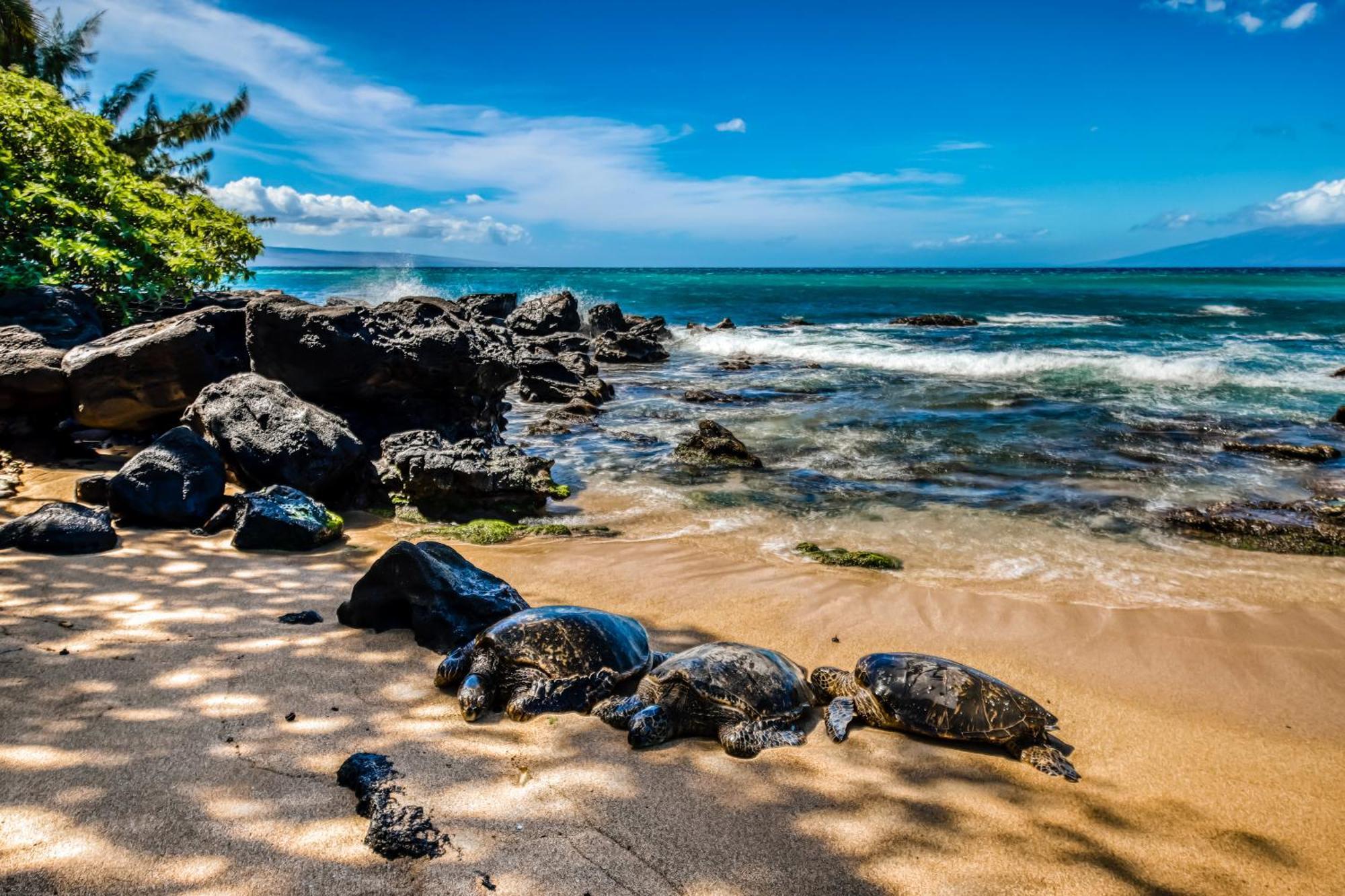 Mahina Surf Apartment Kahana