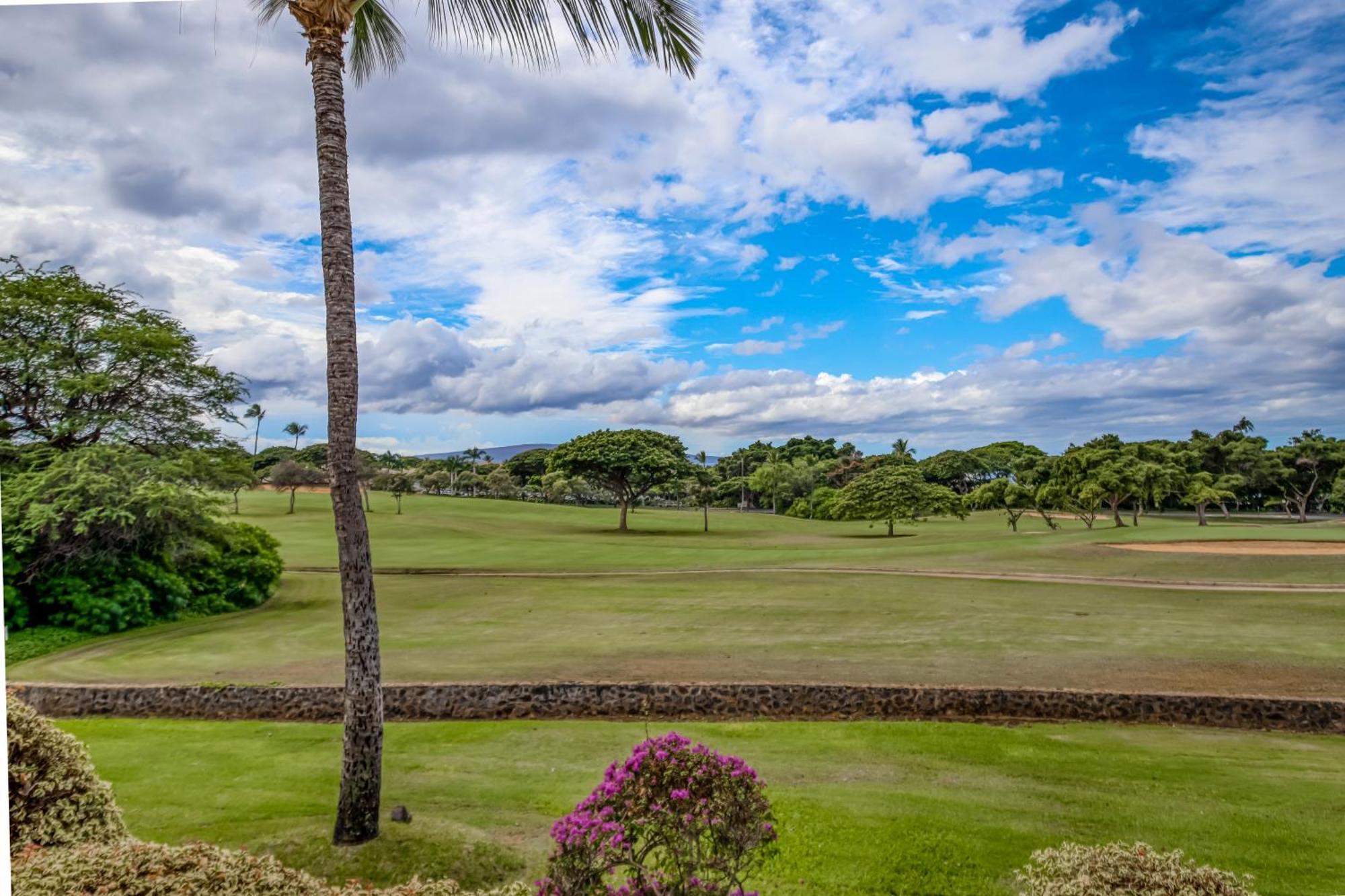 Grand Champions * Wailea (Maui)