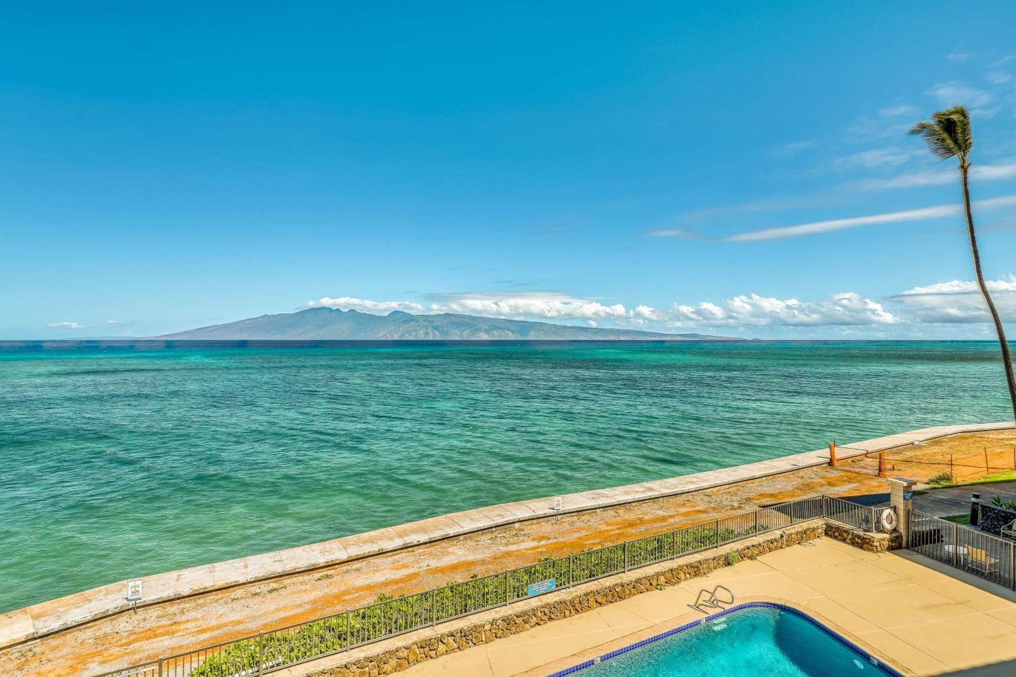Apartment Reef Oceanfront *