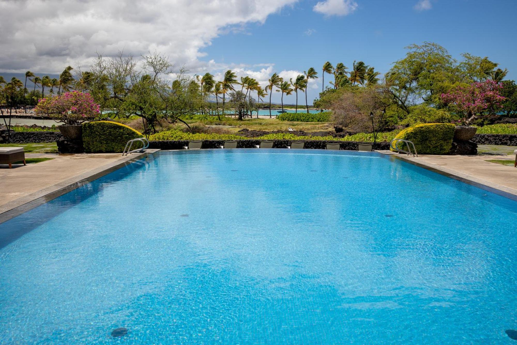 Hilton Pool Pass Included, Kolea - Stylish & Comfy Walk To Patio Pool Gym