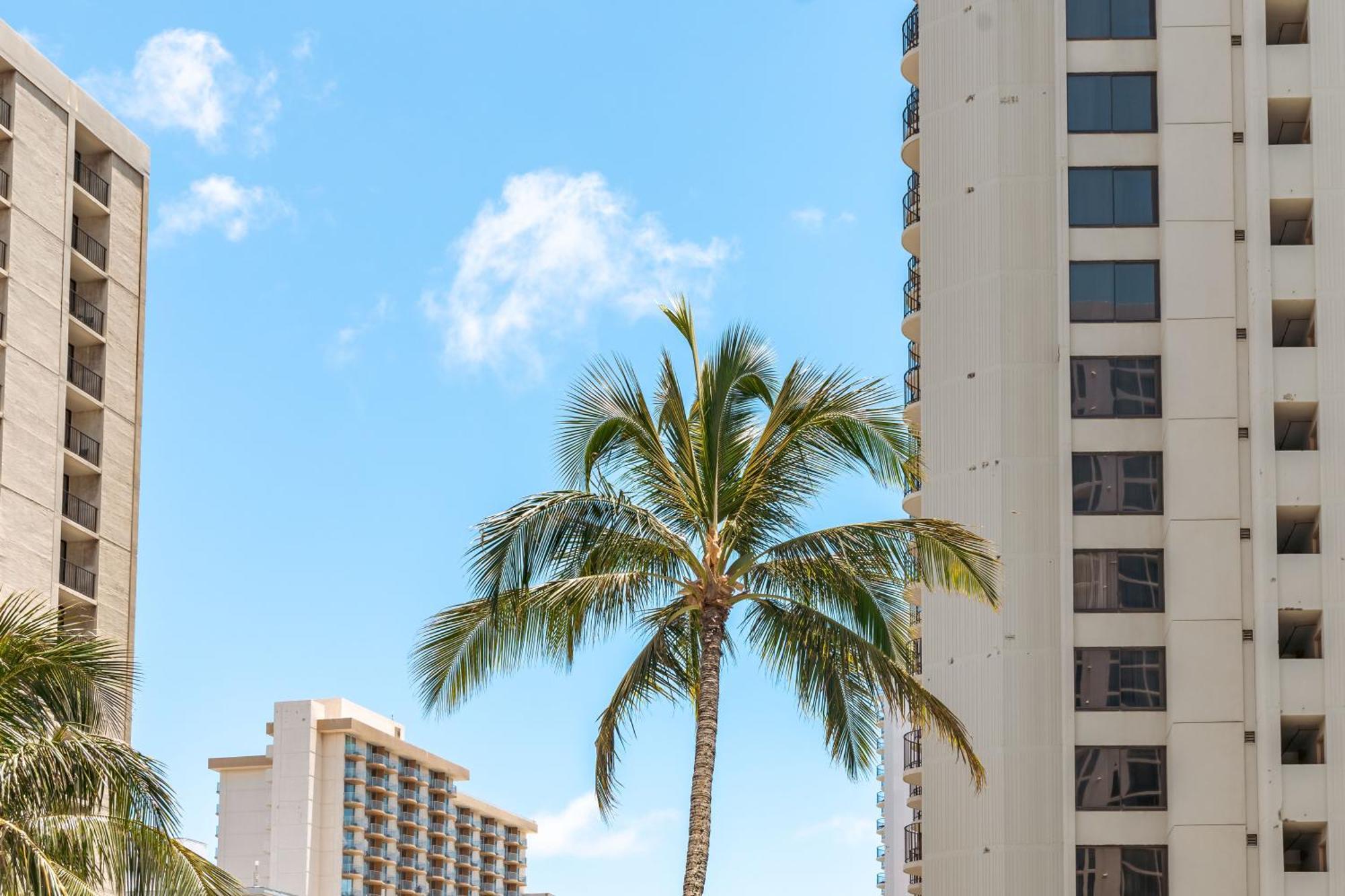 Waikiki Banyan 1br With Great Ocean Views, Steps To & Parking! * Honolulu