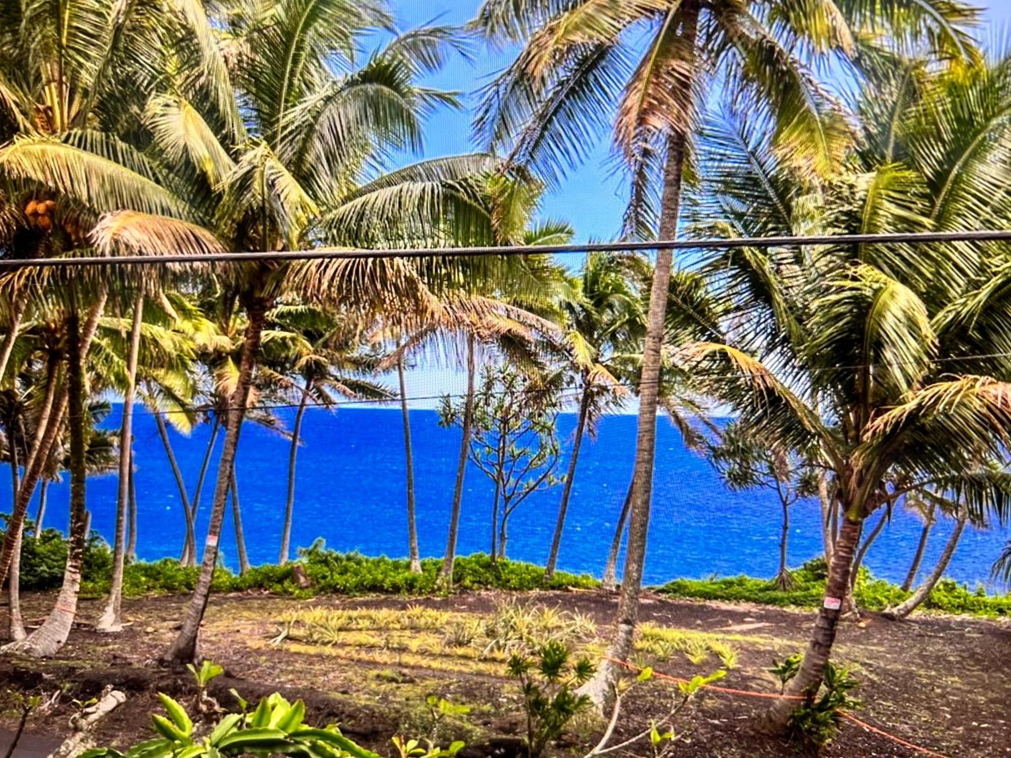 The Bali House And At Hawaii Kehena