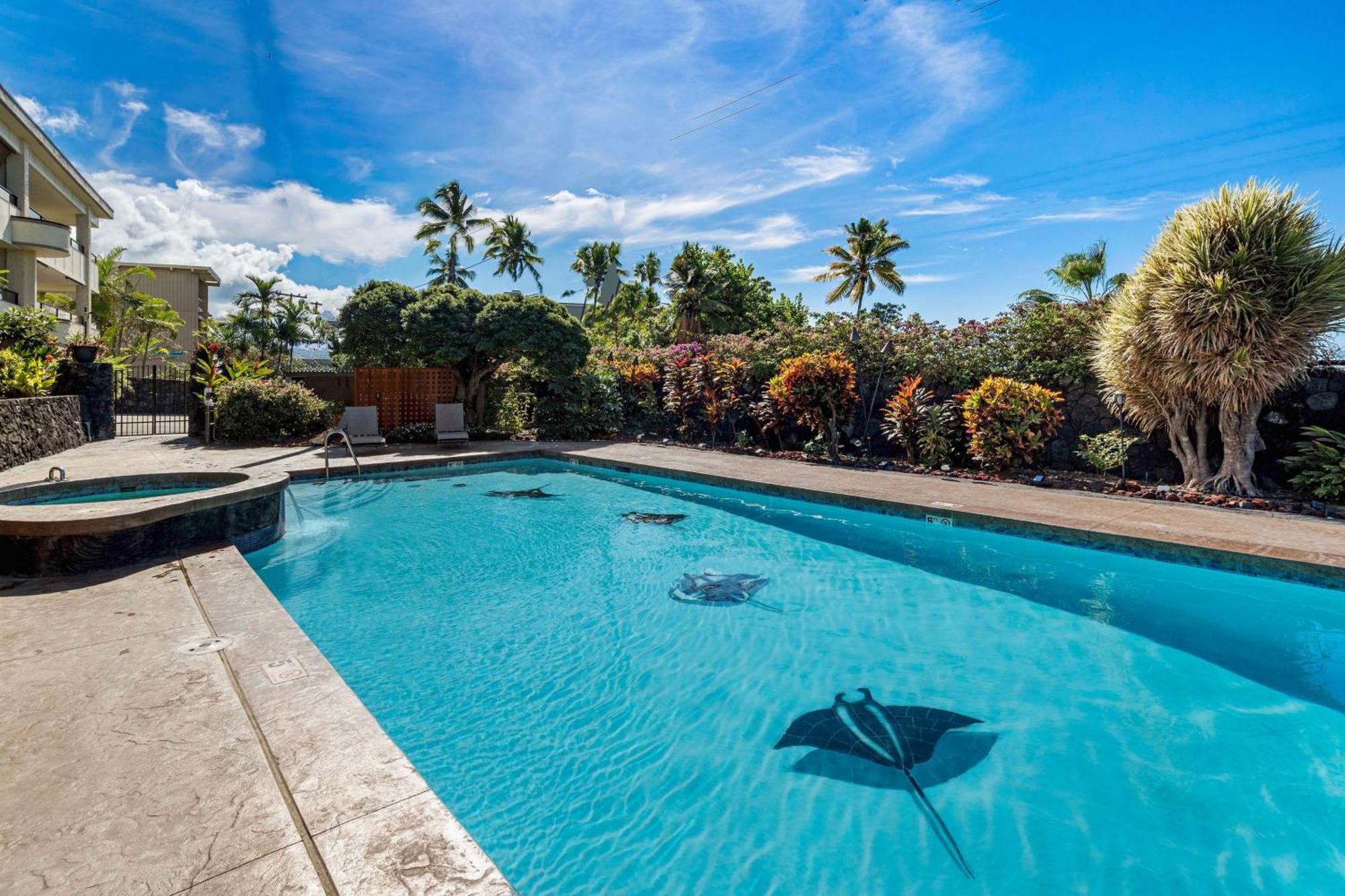 Direct Oceanview Paradise In A Luxury 2b2b,ac Villa
