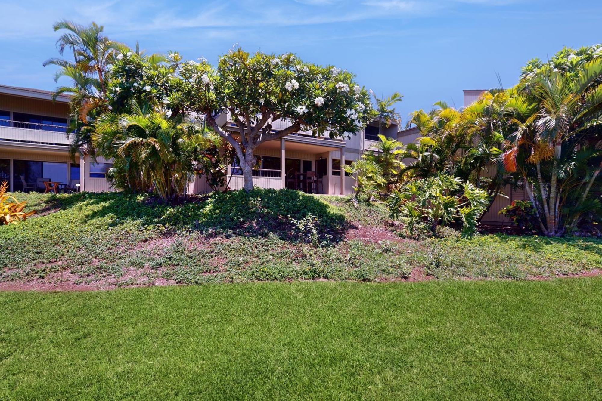 Wailea Ekolu Village
