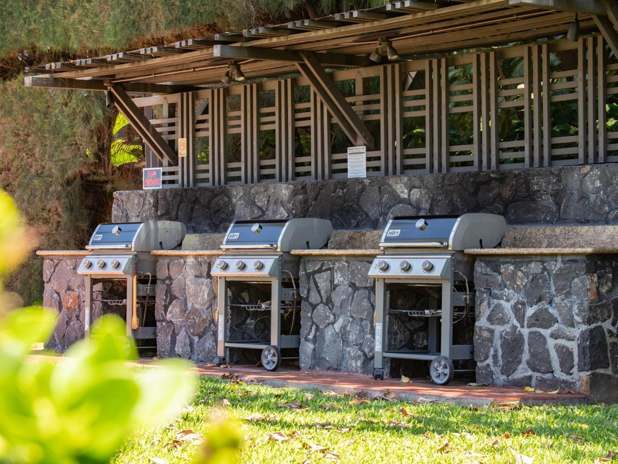 Wbh D116 Aloha Wai - Garden Just Steps From The Sea Kihei