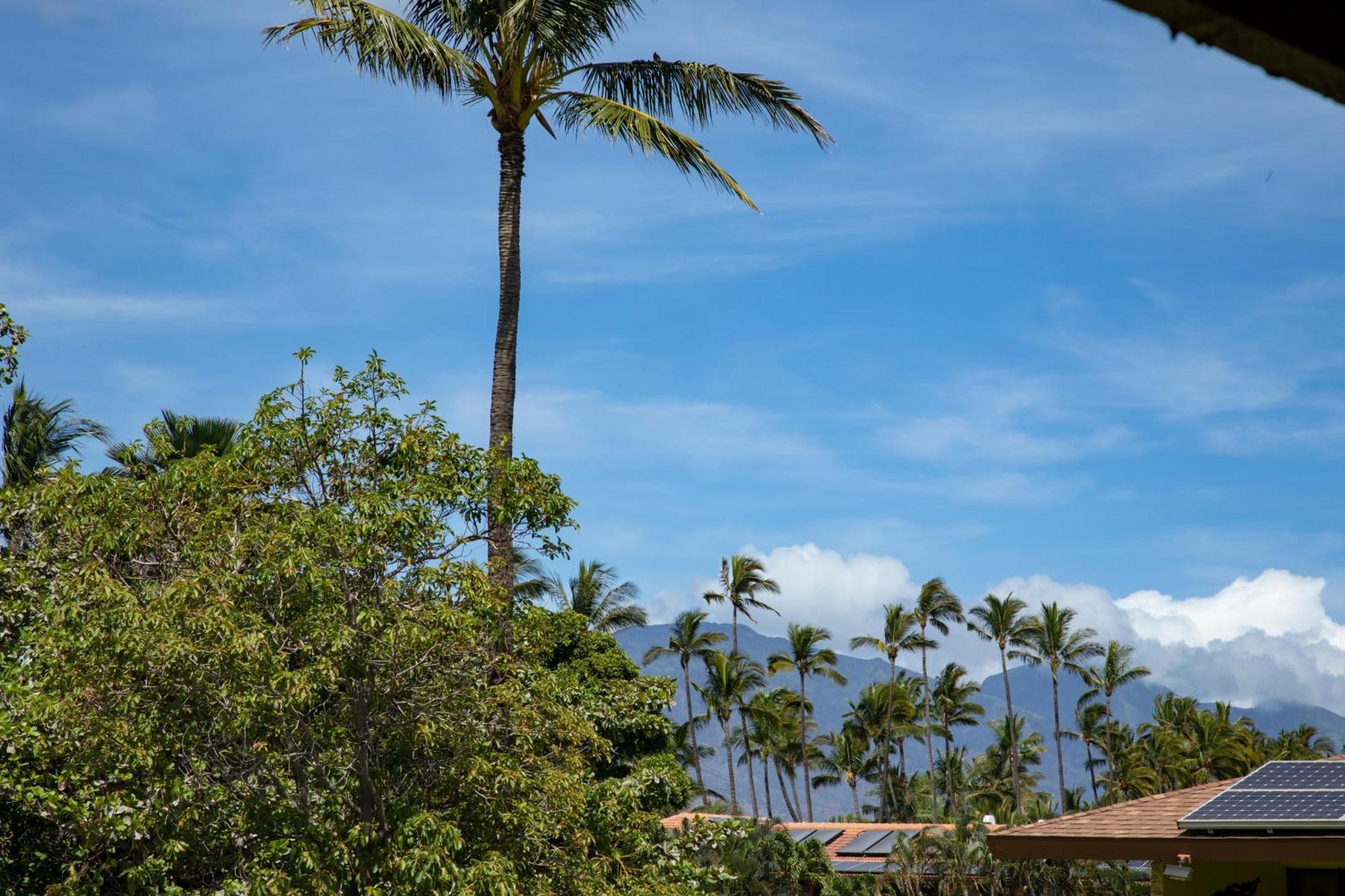 Apartment Beautiful 2 Bedroom With Panoramic Ocean Views | Oceanfront Kihei
