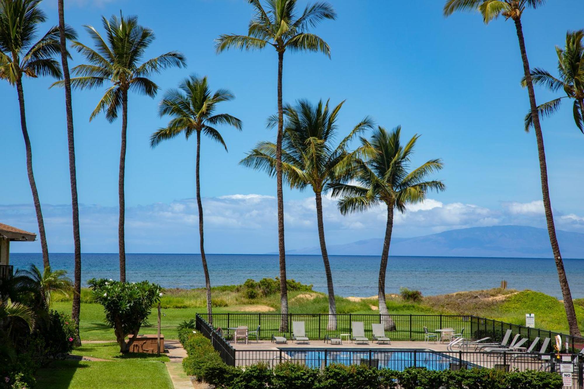 Apartment Beautiful 2 Bedroom With Panoramic Ocean Views | Oceanfront *